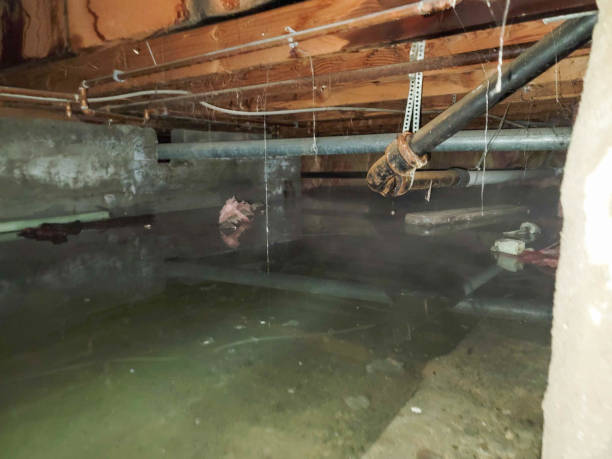 Best Water damage restoration near me  in Methuen Town, MA