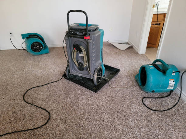 Local water damage restoration in MA