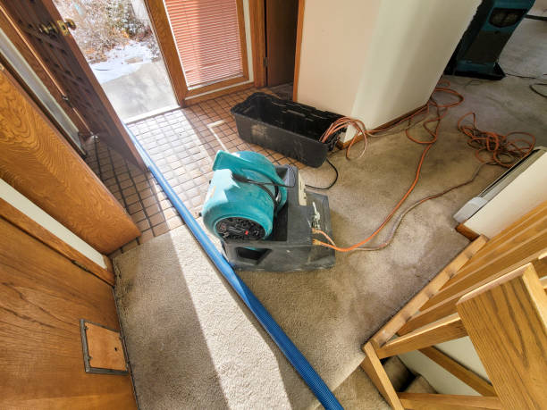 Water damage restoration insurance claims