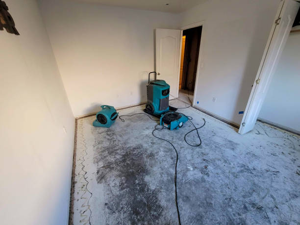 Best Flood restoration services  in Methuen Town, MA